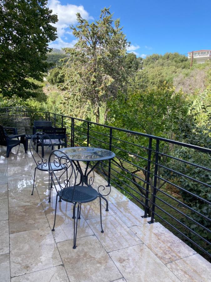 Home Sweet Home 2 Pieces 42 M2 Chambre, Salon, Cuisine, Grande Terrasse, Parking Proche Centre Ville Et Mer Bastia  Exteriér fotografie
